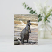 behangselstenen briefkaart (Staand voorkant)