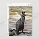 behangselstenen briefkaart (Voorkant / Achterkant)