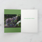 Beheerlijke Kitten Birthday Card Kaart (Binnen)