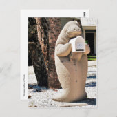 Beheren Mailbox in Florida Foto Briefkaart (Voorkant / Achterkant)