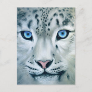 Behind Blue Eyes - Snow Leopard Briefkaart