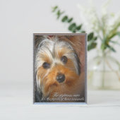 Behoeften van je dier Yorkie Briefkaart (Staand voorkant)