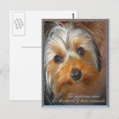 Behoeften van je dier Yorkie Briefkaart (Voorkant / Achterkant)