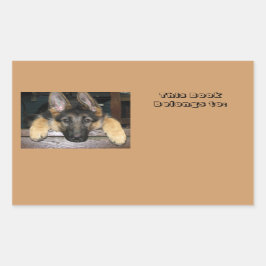 Behoort tot de naam Sticker