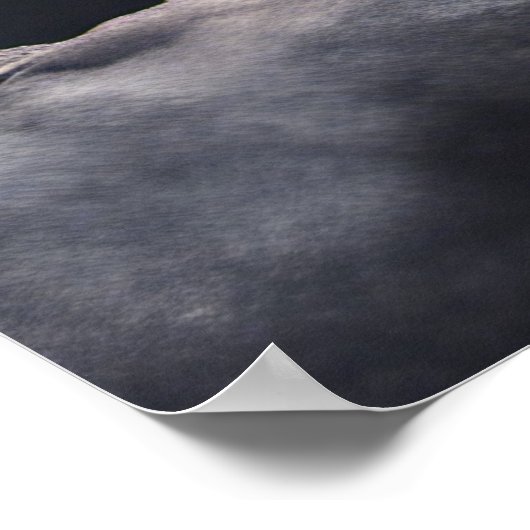 Behoud of ontwerp uw eigen poster (Hoek)