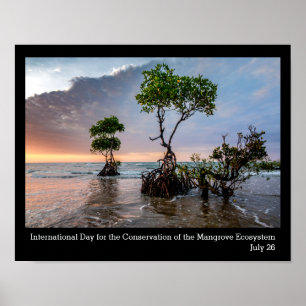 Behoud van de Mangrove, foto Poster