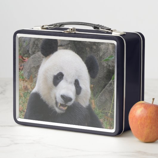 Bei Bei Giant Panda Lunchbox (In situ)