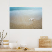 Beidaihe Seascape Poster (Keuken)