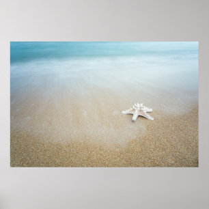 Beidaihe Seascape Poster