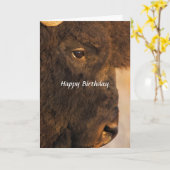 beide Einden van de Buffalo 2 Humoristische kaart (Gele Bloem)