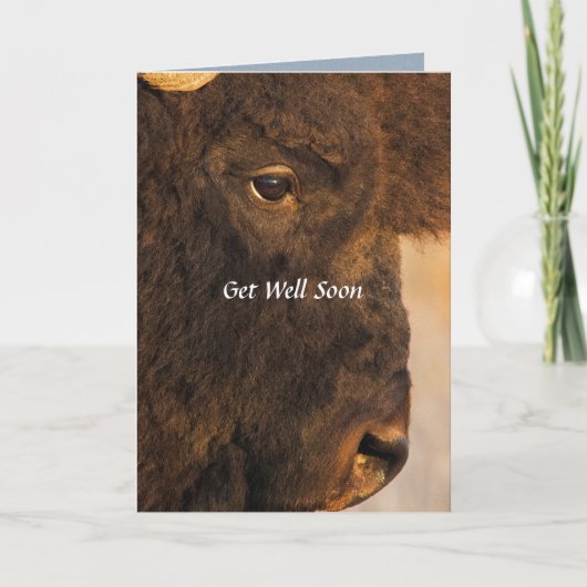 Beide einden van de buffelHumorische kaart (Voorkant)