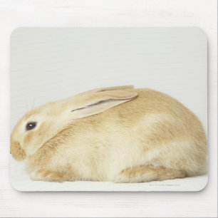 Beige bunny-konijn tegen witte achtergrond 4 muismat