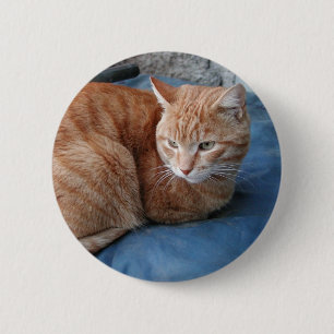 Beige Kat Ronde Button 5,7 Cm