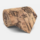 Beige orthopédique de cravate d'os de da Vinci de (Roulé)