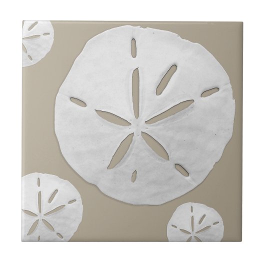 Beige & White Tropical Beach Sand Dollar Tegeltje (Voorkant)