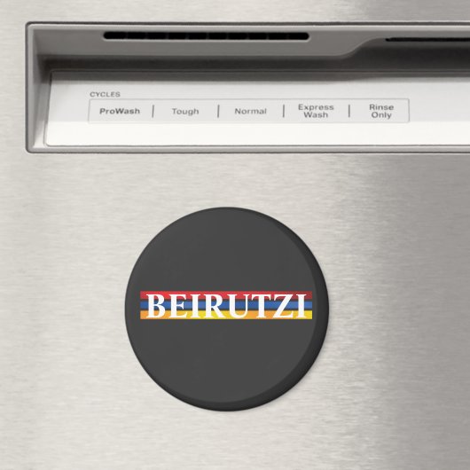 Beirutzi Magneet (Insitu (Vaatwasser))