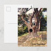 Bekende filmstructuur van de wizard briefkaart (Voorkant / Achterkant)