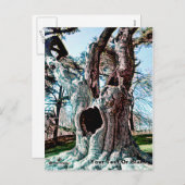 Bekende filmstructuur van de wizard feestdagenkaart (Voorkant / Achterkant)