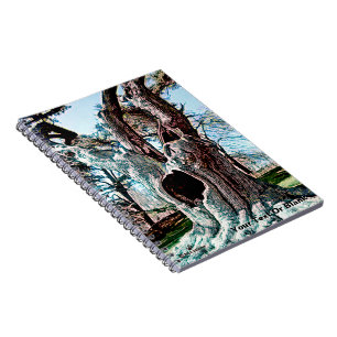 Bekende filmstructuur van de wizard notitieboek