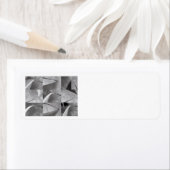 Bekende Gateway to the West St. Louis Arch Etiket (Insitu)