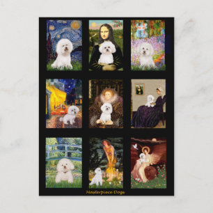Bekende Kunst Bichon Frise Composiet Briefkaart