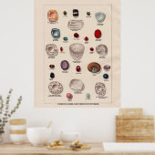 Bekende Pareltjes en edelstenen Poster (Keuken)