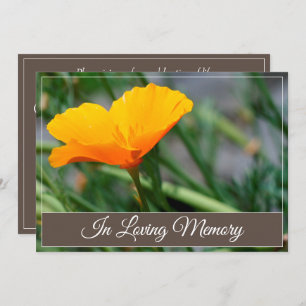 Bekendmaking van de California Poppy Memorial Serv Kaart