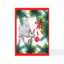 Bekijk Baby kerst van dichtbij