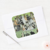 Bekijk de Birdie Vierkante Sticker (Envelop)