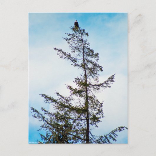 Bekijk de toren briefkaart (Voorkant)
