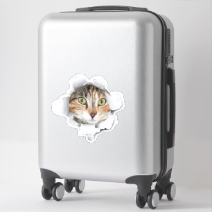 Bekijk een Boo Cat Bagage Sticker