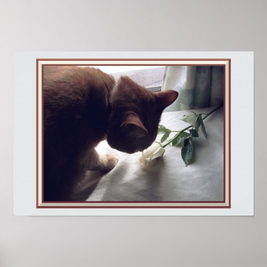 Bekijk het Poster (Voorkant)