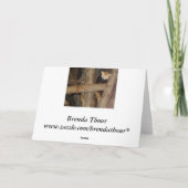 Beklimmen Panda Verjaardag Kaart (Achterkant)