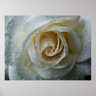 Beklimmen van Iceberg Rosa Poster