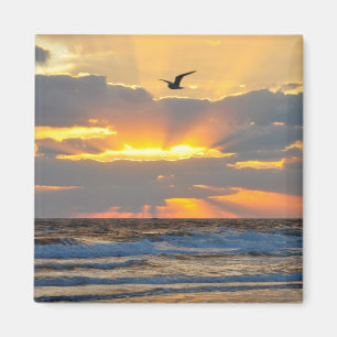 Bel aimant de paysage de lever de soleil de plage