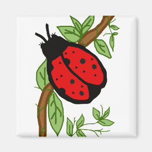 Bel aimant d'insecte de dame