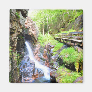 Bel aimant naturel du paysage NH de cascade