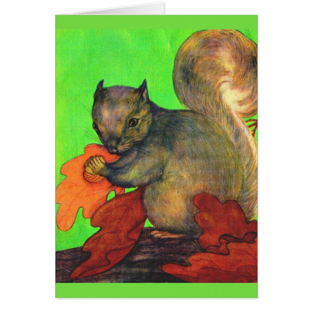 bel écureuil (Devant)