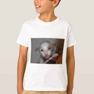 Belachelijk cute baby poesje t-shirt