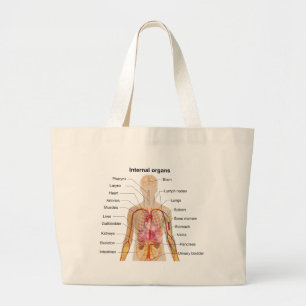 Belangrijke interne organen in de grafiek van het grote tote bag