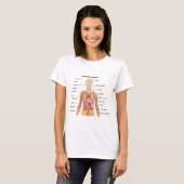 Belangrijke interne organen in de grafiek van het  t-shirt (Voorkant volledig)