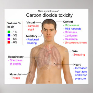 Belangrijkste symptomen van de toxiciteitgrafiek v poster