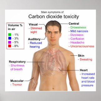 Belangrijkste symptomen van de toxiciteitgrafiek v poster
