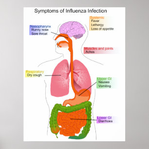 Belangrijkste symptomen van een influenzageïnfecte poster
