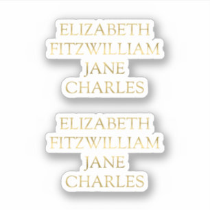 Belangrijkste tekens Pride en Prejudice Jane Auste Sticker