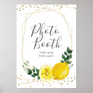 Belangrijkste uitgeronde citroenfoto-aap poster