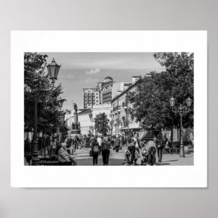 Belarus Беларусь Brest Брэст Architecture Poster