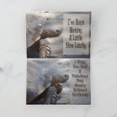 Belated Birthday Card Kaart (Binnen)