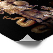 Beleid inzake de definitieve inspectie poster (Hoek)