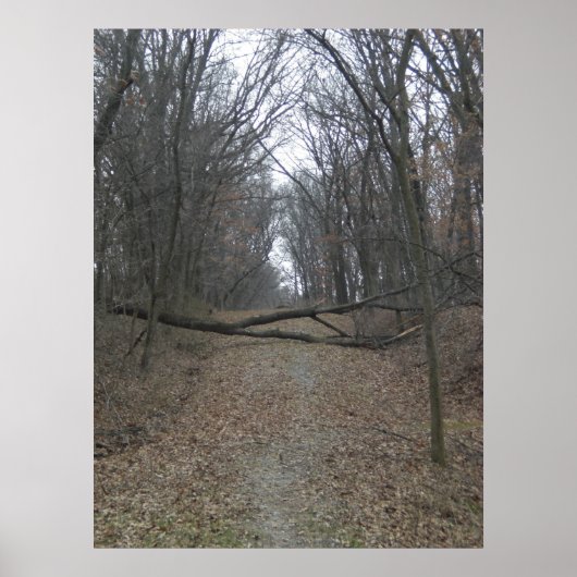 Belemmering onderweg poster (Voorkant)